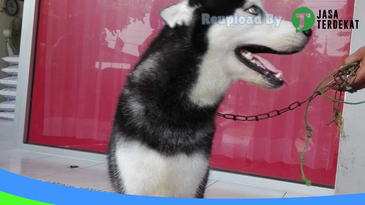 Gambar Savannah Vet & Petcare di Kulon Progo, DI Yogyakarta ke 1