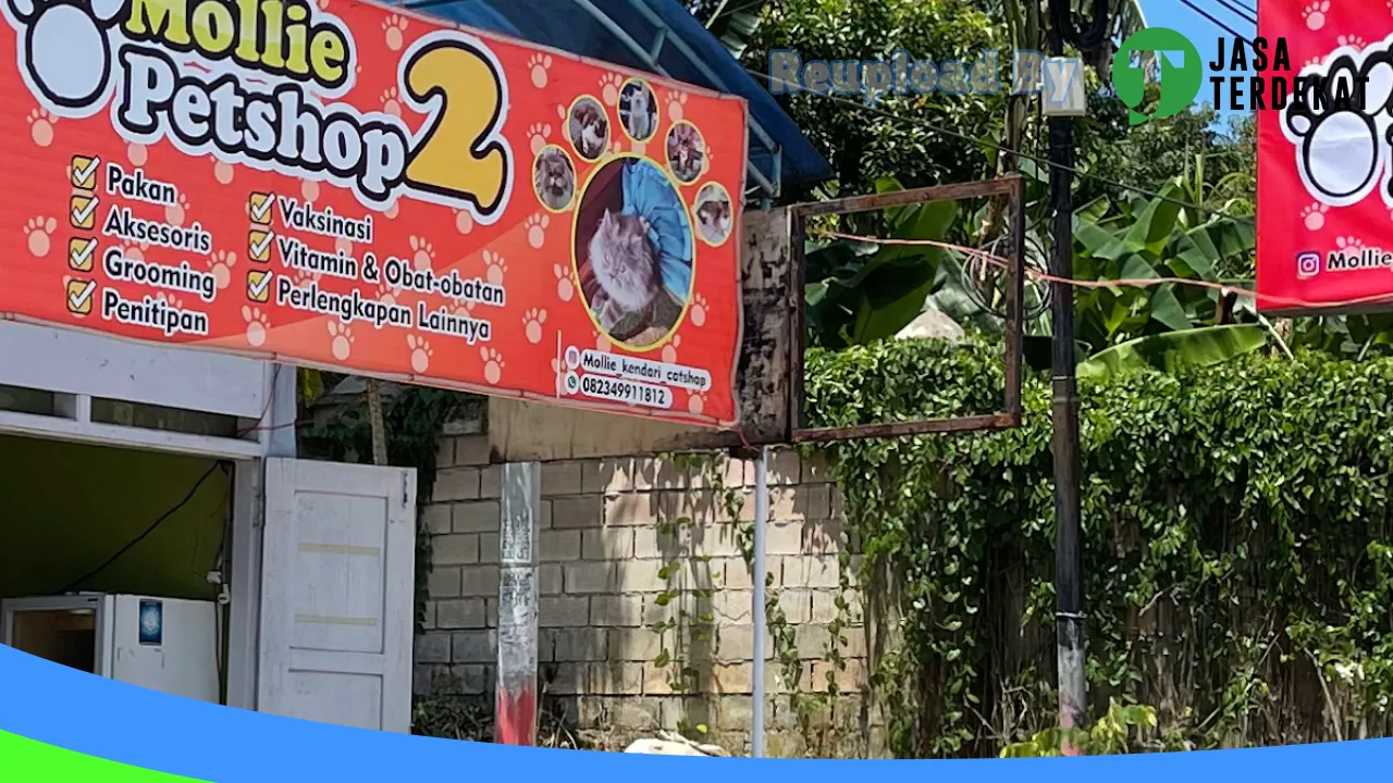 Gambar MOLLIE PETSHOP 2 di Buton, Sulawesi Tenggara ke 3
