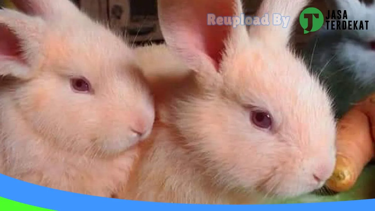 Gambar PetShop Langowan Timur di Minahasa Utara, Sulawesi Utara ke 3