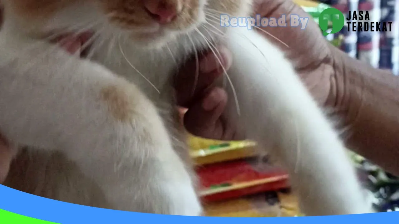 Gambar RACHEL PETSHOP di Banjarnegara, Jawa Tengah ke 4