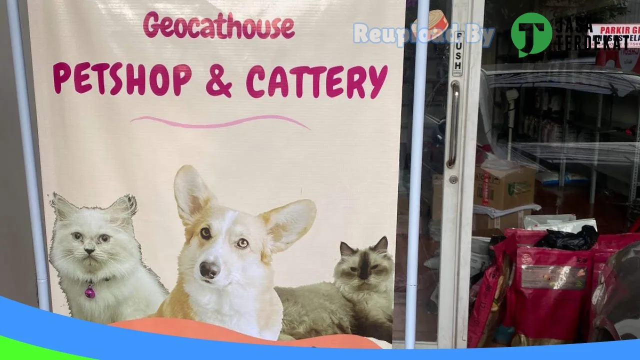 Gambar Geocathouse Petshop & Cattery di Kepulauan Seribu, DKI Jakarta ke 2