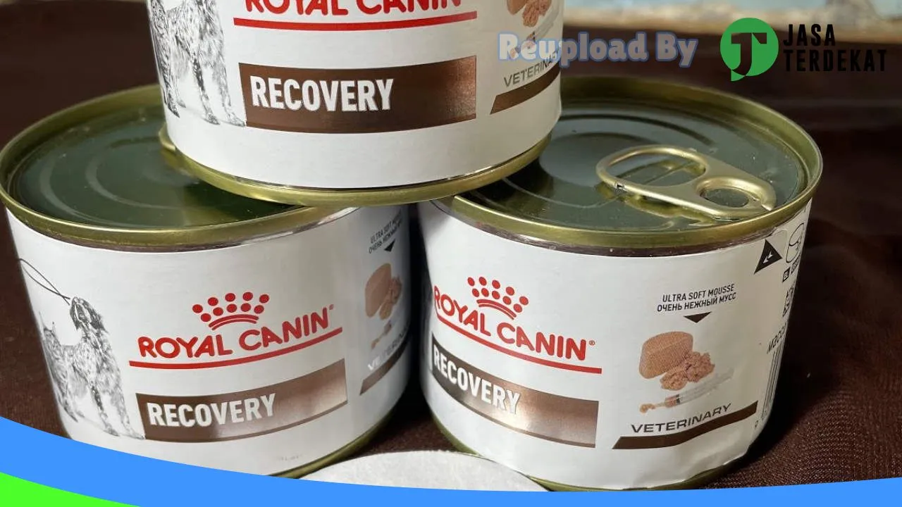 Gambar Dorami petcare & petshop (dokter hewan ami) di Tebing Tinggi, Sumatera Utara ke 3