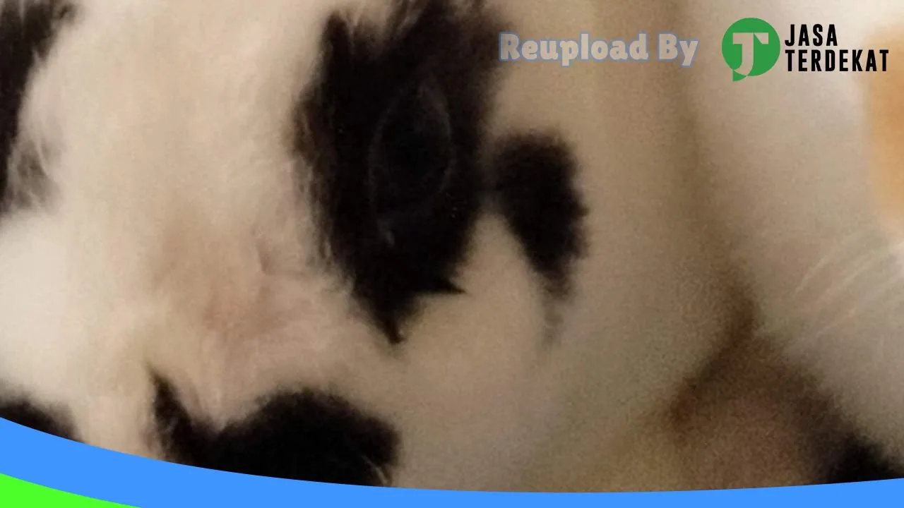 Gambar Kandang Peternakan Kelinci di Batu Bara, Sumatera Utara ke 4