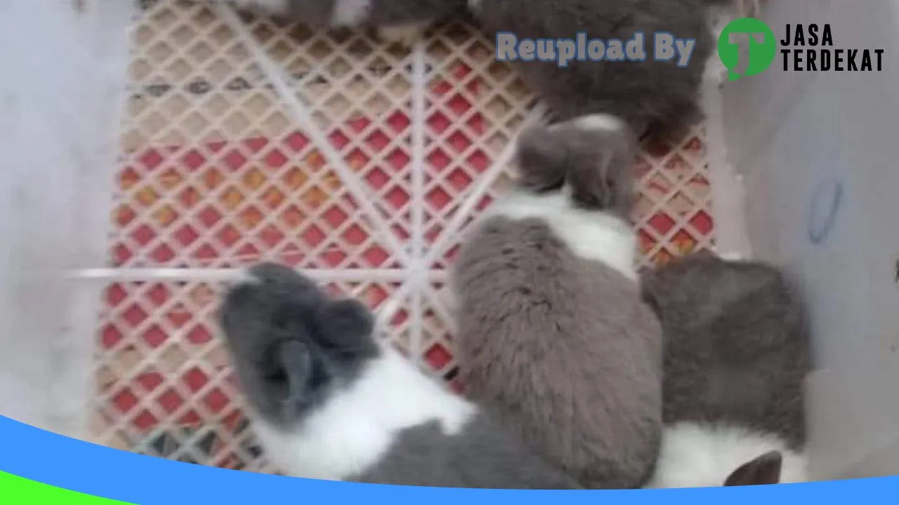 Gambar Rumah kelinci di Bantaeng, Sulawesi Selatan ke 2