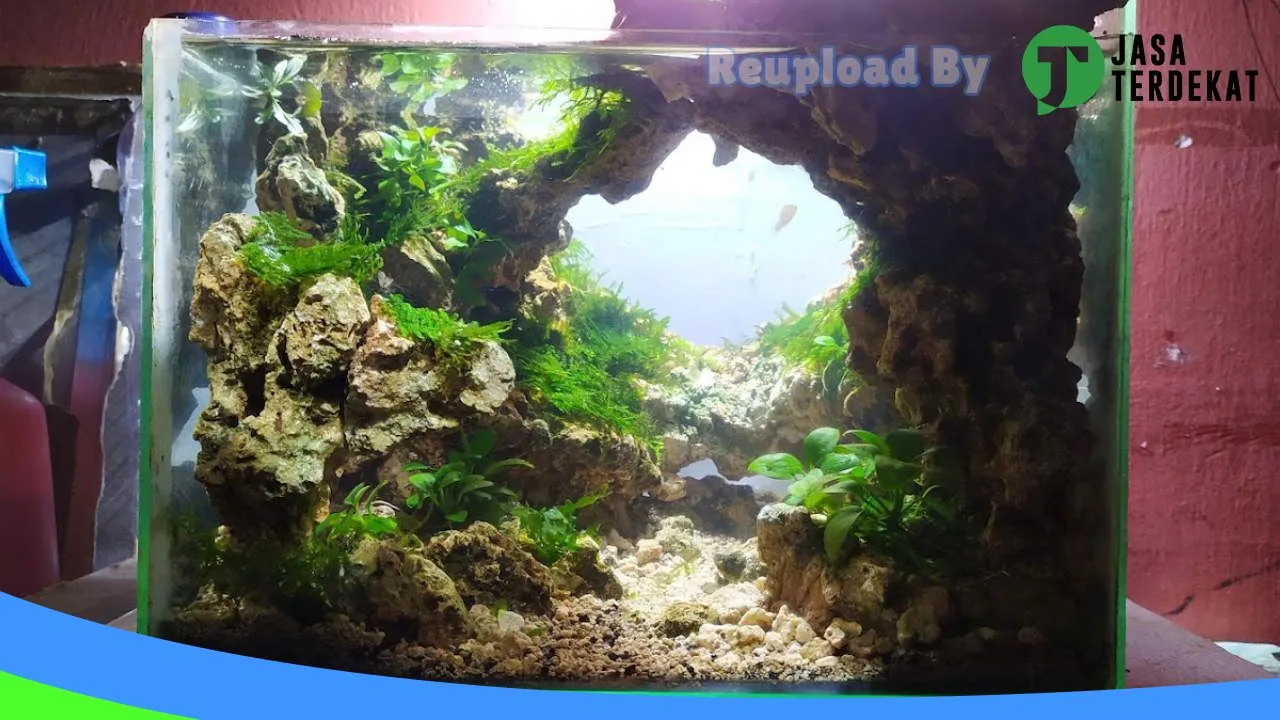 Gambar AQUARIUM AQUASCAPE DESIGN IMAGINATION(ADI) di Buton, Sulawesi Tenggara ke 2