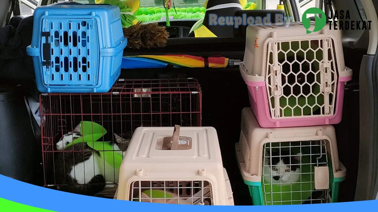 Gambar BUBUKU GROOMING PILIHAN di Kotawaringin Timur, Kalimantan Tengah ke 4