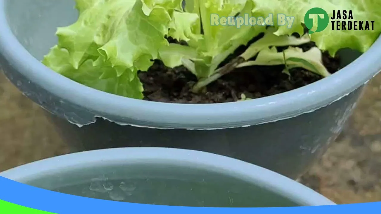 Gambar Holistik farms randangan di Pohuwato, Gorontalo ke 2