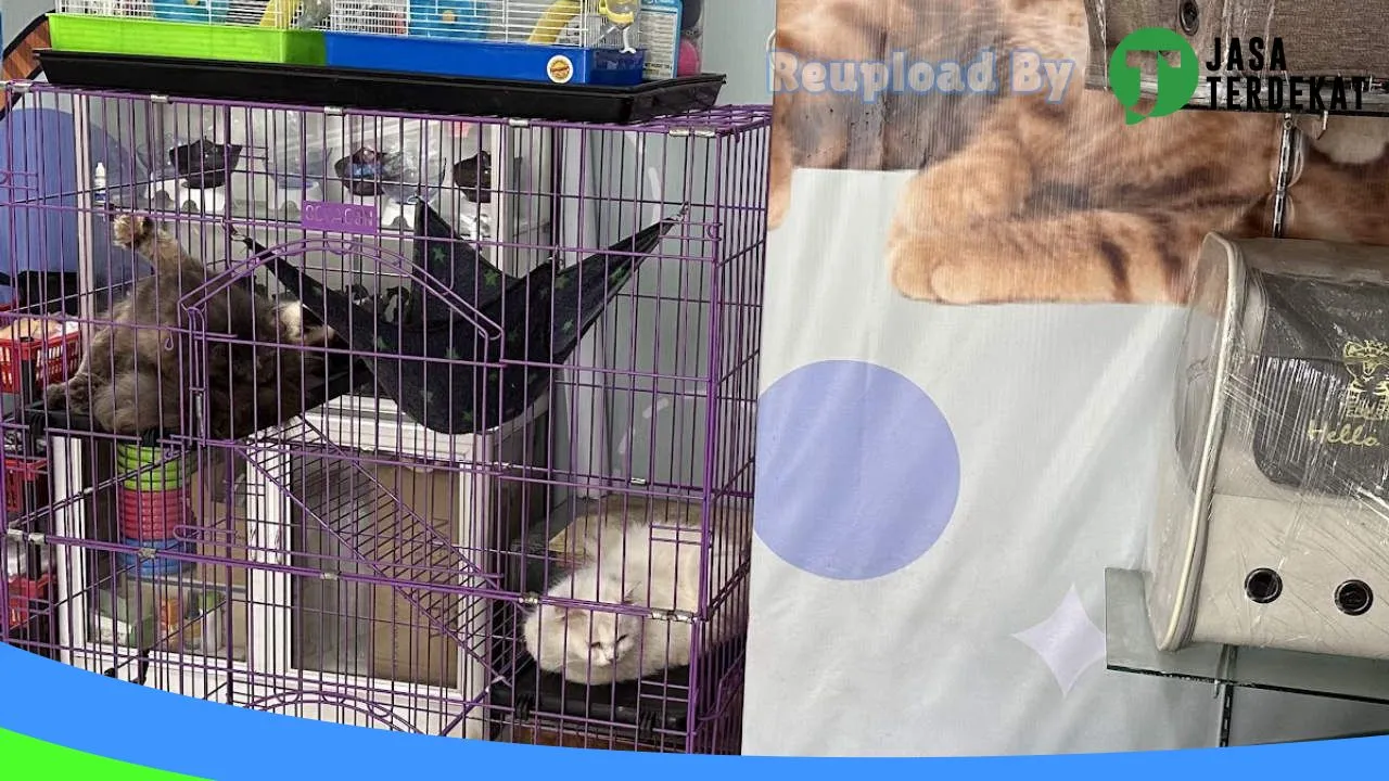 Gambar AMANDA PET SHOP (Food – Accessories – Grooming) di Malaka, Nusa Tenggara Timur ke 3