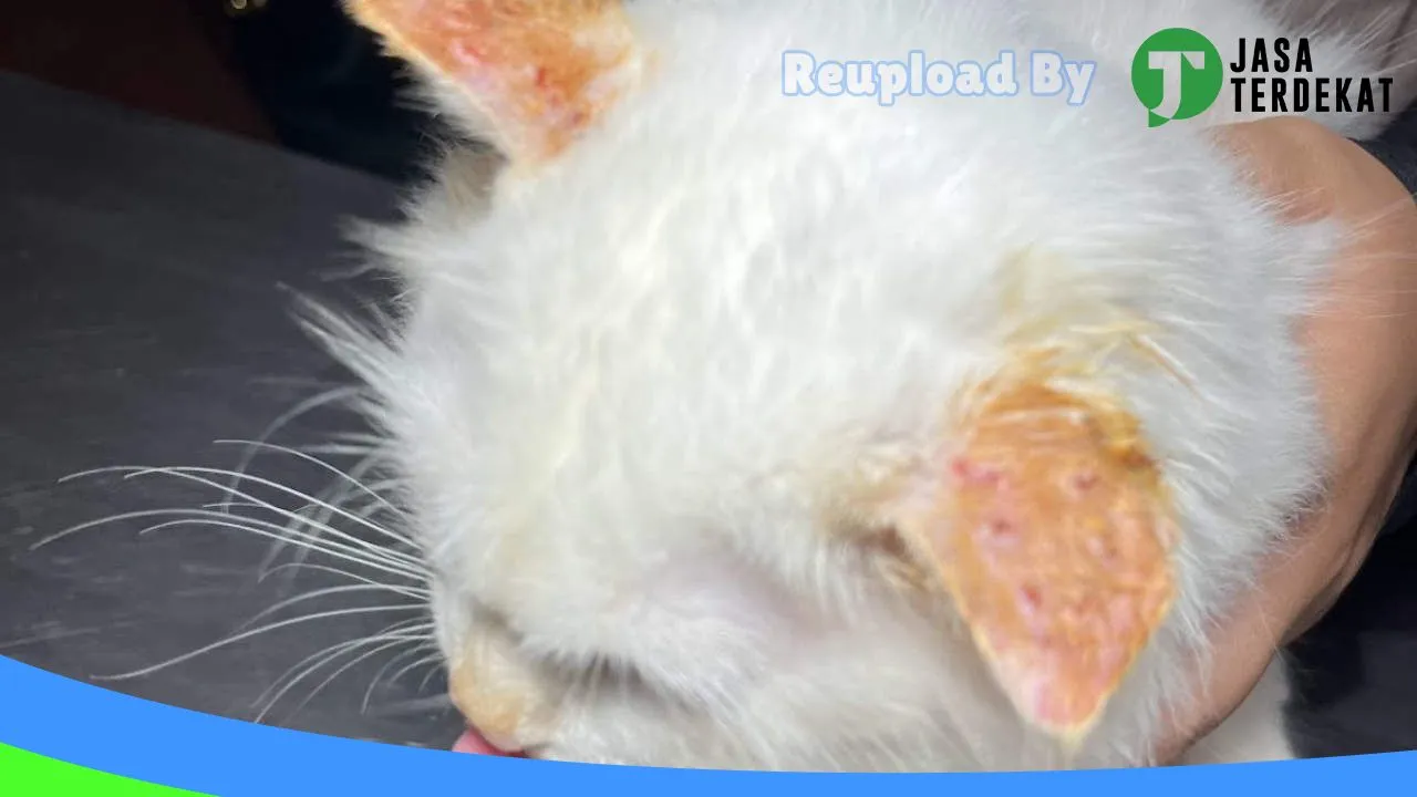 Gambar Klinik Hewan Malinau (Malinau Petcare) di Malinau, Kalimantan Utara ke 5