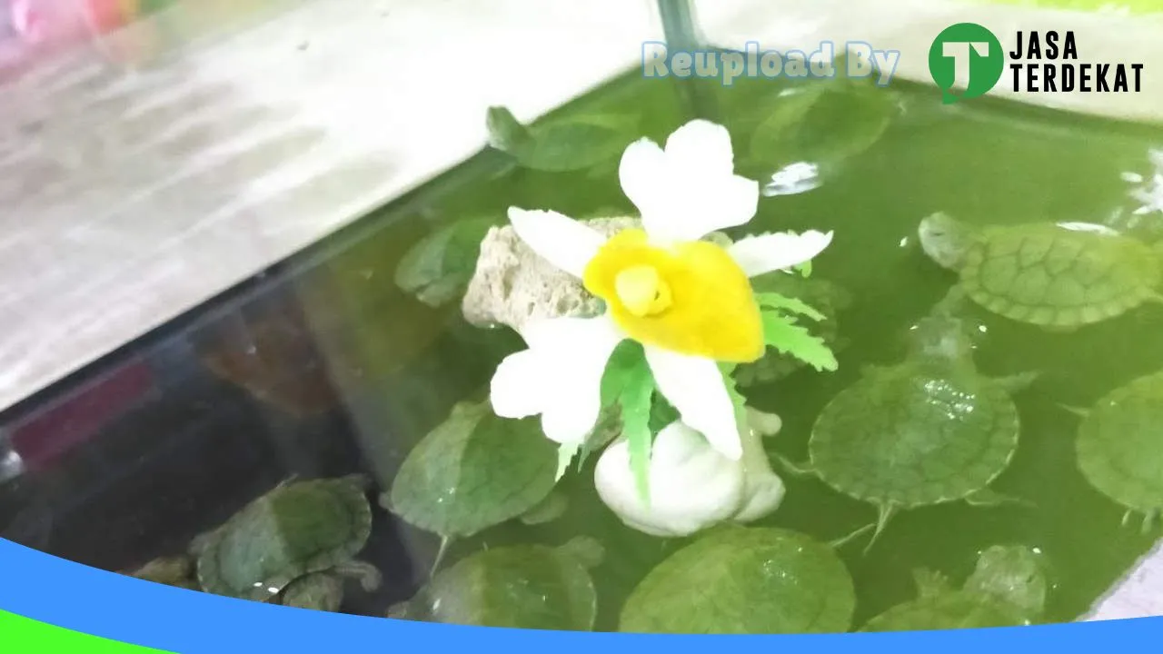 Gambar Queen Pet Shop di Sragen, Jawa Tengah ke 1