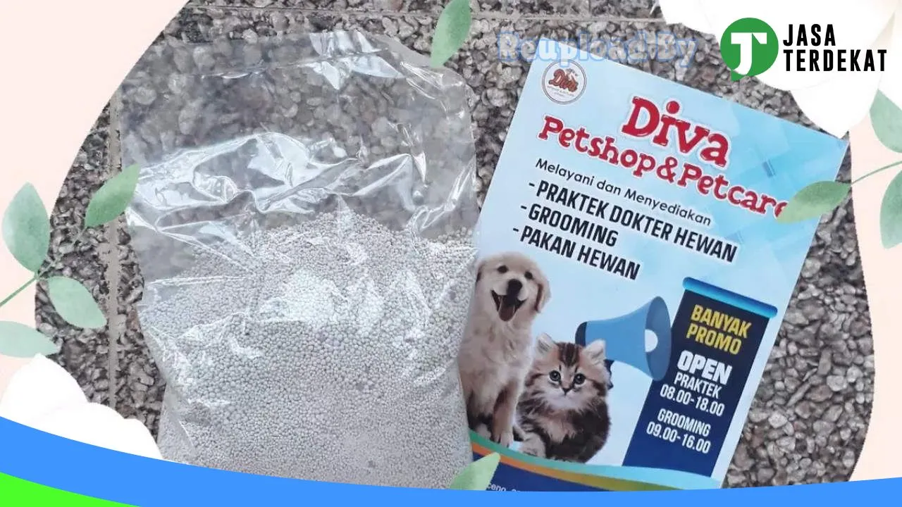 Gambar DIVA PETSHOP (PRAKTEK DOKTER HEWAN) MAPPEDECENG, MASAMBA, LUWU UTARA di Luwu, Sulawesi Selatan ke 2