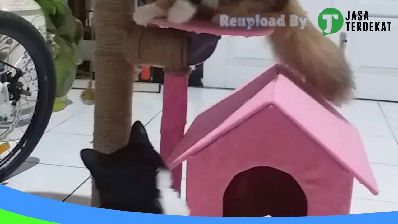 Gambar Cihan Pet Shop di Rejang Lebong, Bengkulu ke 1