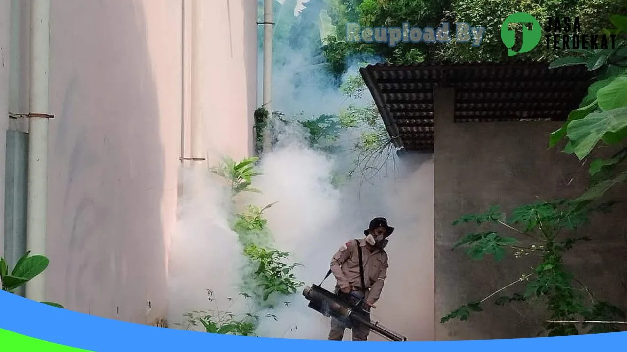 Gambar Jasa Anti Rayap, Pest Control, Basmi Tikus, Basmi Hama, Fogging Nyamuk – Nusantara Pest di Kota Palu, Sulawesi Tengah ke 2