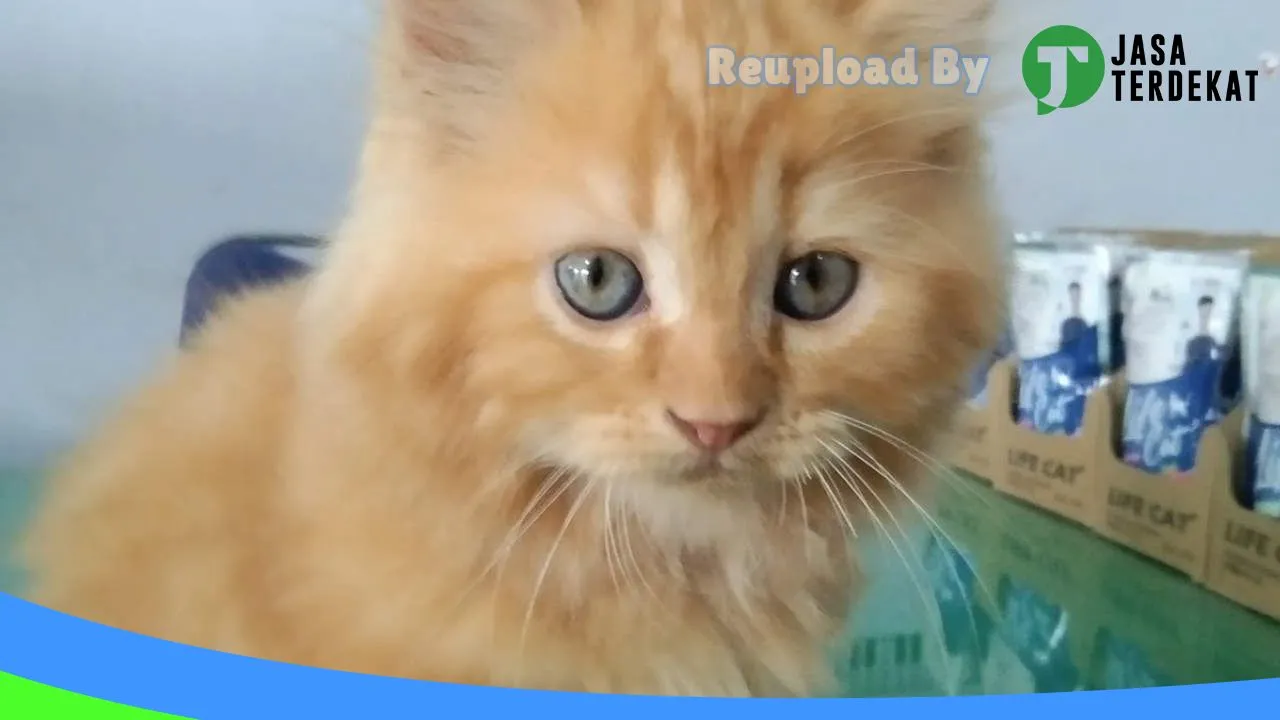 Gambar SM Petshop & PakanTernak di Bengkulu Tengah, Bengkulu ke 4