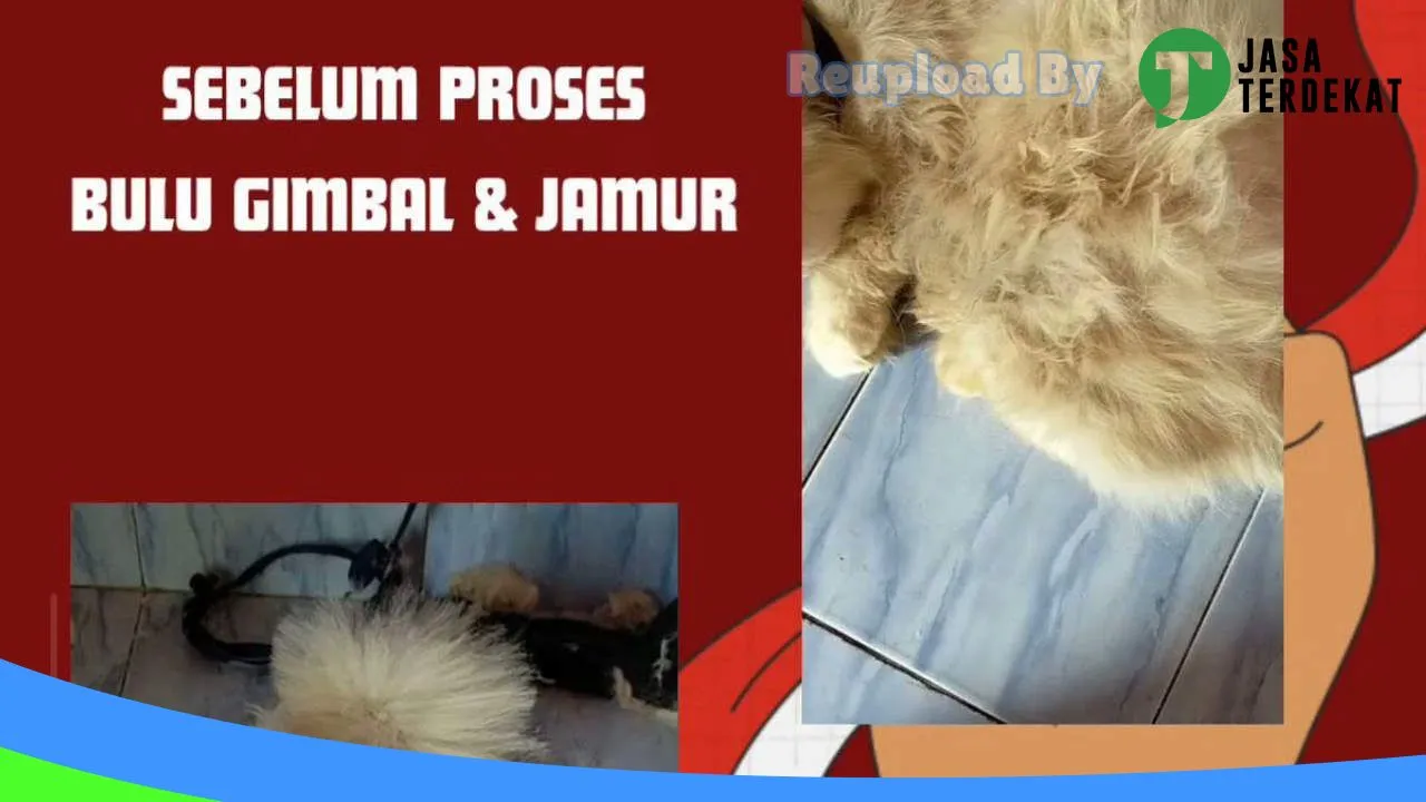 Gambar Naungan Petshop & Alat Pancing di Muaro Jambi, Jambi ke 1