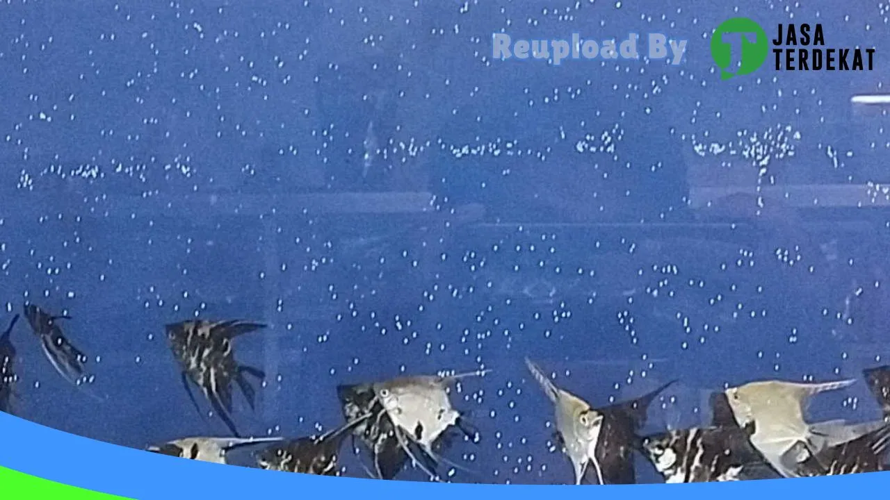 Gambar Multi Jaya Aquatic di Pacitan, Jawa Timur ke 4