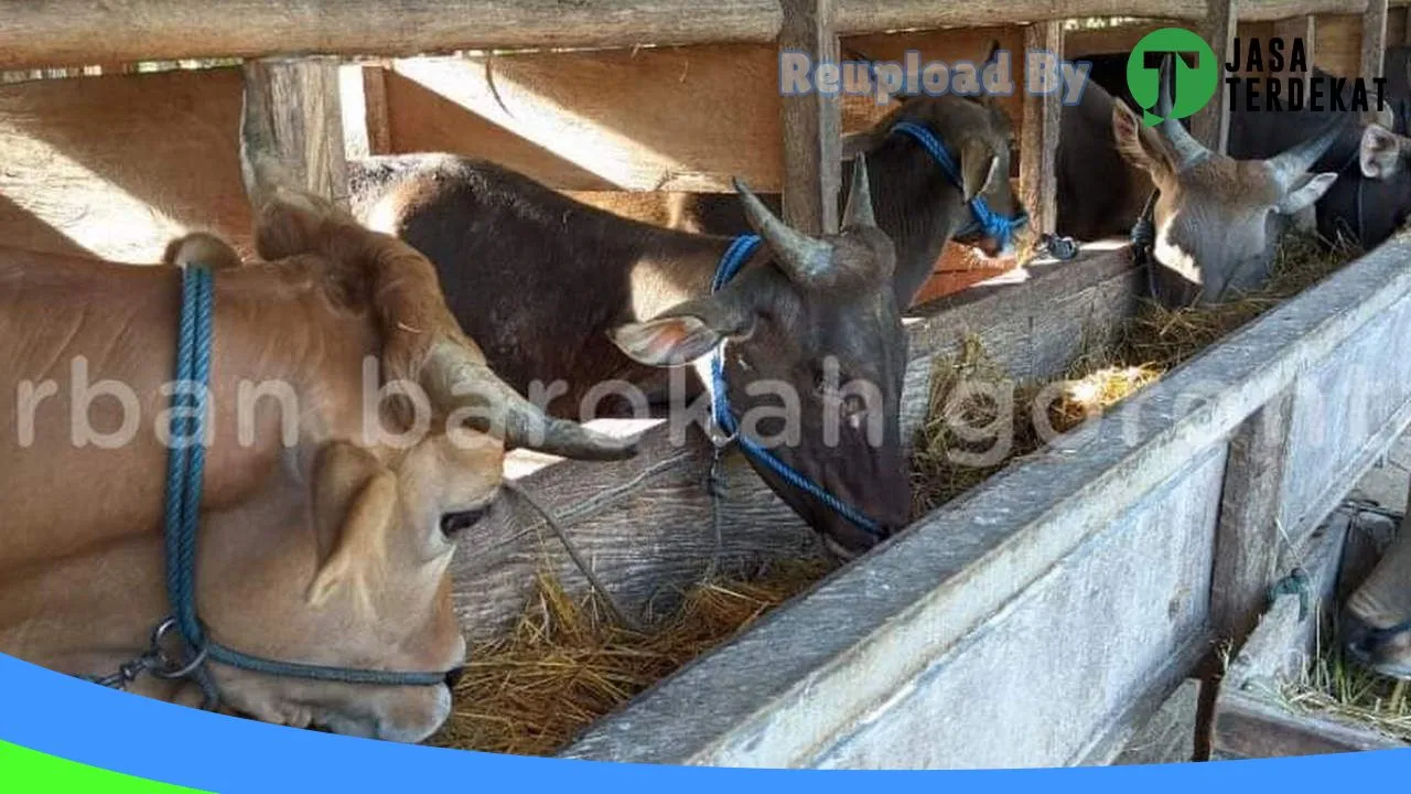 Gambar Qurban Barokah Gorontalo di Bone Bolango, Gorontalo ke 4