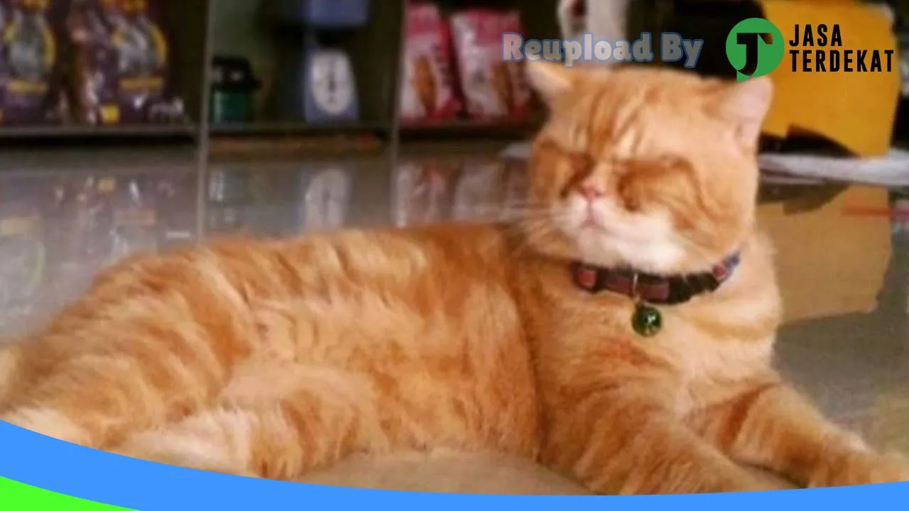 Gambar Muezza Petshop Palembang di Palembang, Sumatera Selatan ke 1