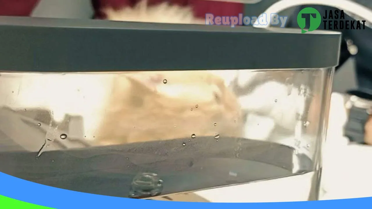 Gambar Klinik Hewan dan Petshop Dunia Satwa di Tanah Datar, Sumatera Barat ke 1