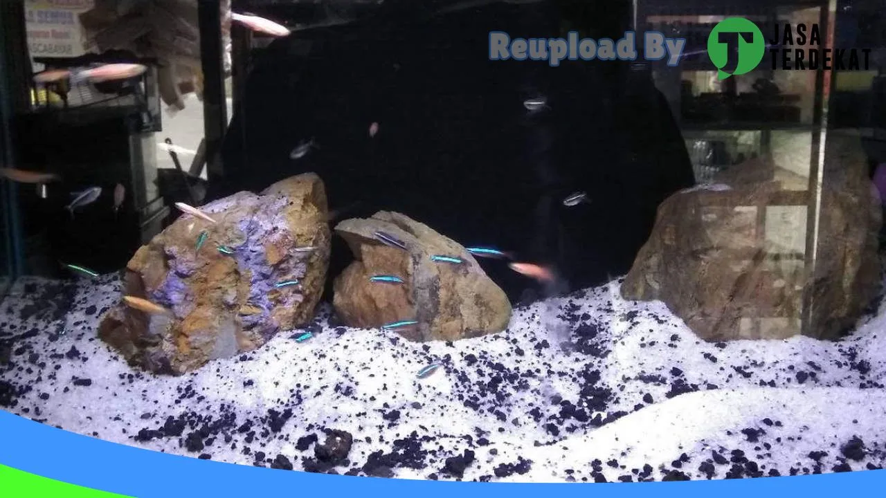 Gambar Aquazy Aquarium di Dairi, Sumatera Utara ke 4