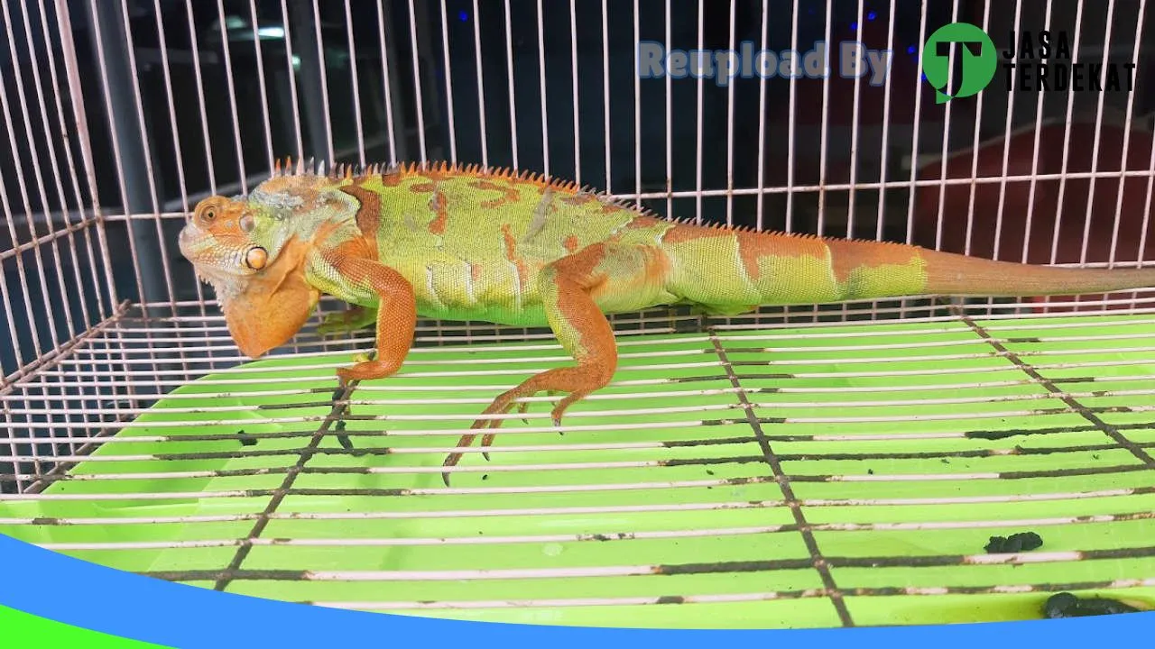 Gambar SAUNG BARAYA GORONTALO di Bone Bolango, Gorontalo ke 2