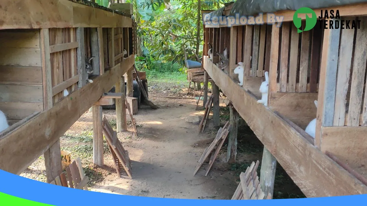 Gambar ASEKAWAN RABBIT FARM di Bintan, Kepulauan Riau ke 4
