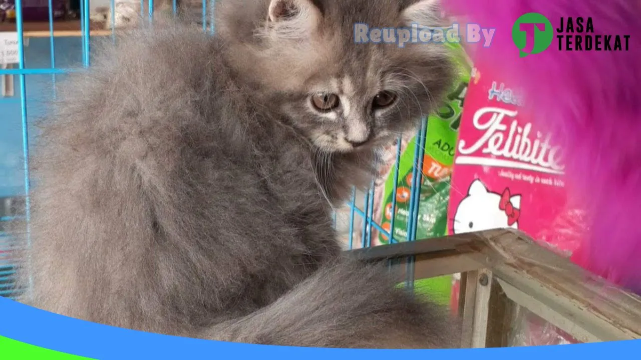 Gambar Wiby Petshop 2 di Lampung Tengah, Lampung ke 1