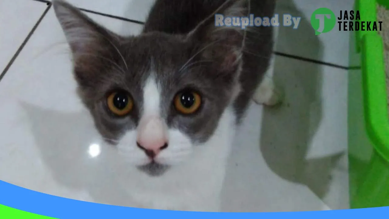 Gambar Lisa Petshop® di Semarang, Jawa Tengah ke 1