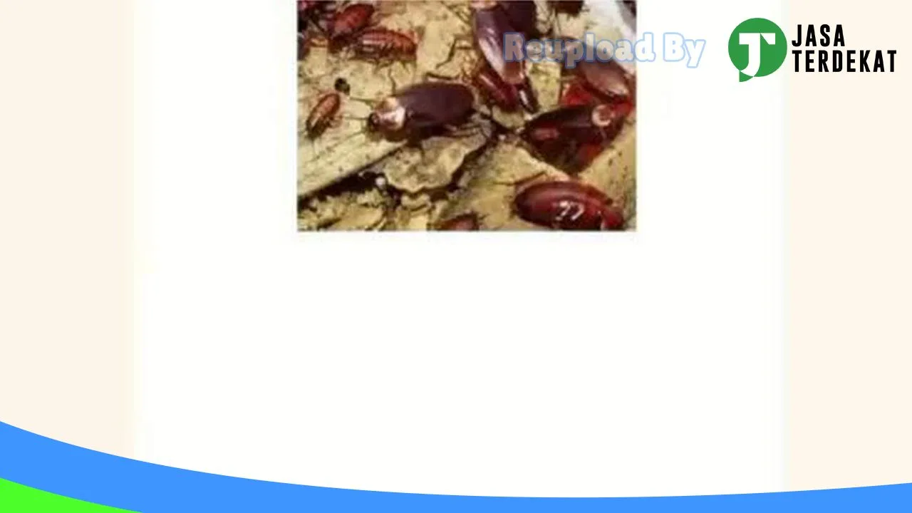 Gambar Indonesian Pest Control Bekasi | Fogging | Anti Rayap di Kota Bekasi, Jawa Barat ke 1