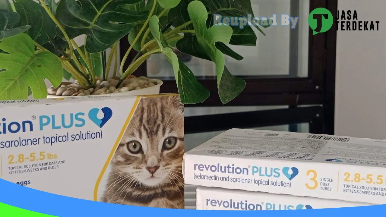 Gambar GIS Pet Clinic Purwakarta – Praktek Dokter Hewan di Purwakarta, Jawa Barat ke 3