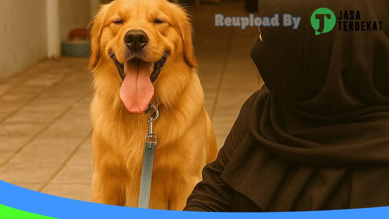 Gambar Paw Med Praktek Dokter Hewan dan Pet Shop di Bantul, DI Yogyakarta ke 3