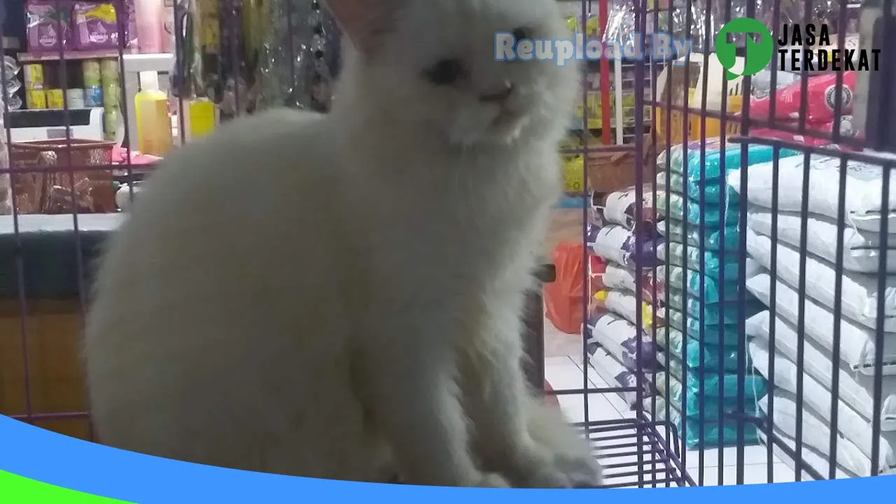 Gambar Bintang Petshop di Kota Banjar, Jawa Barat ke 2