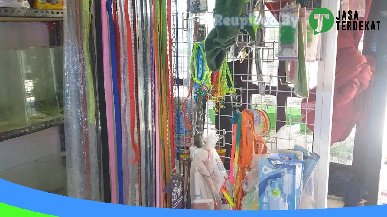 Gambar Rajawali Pet Shop Atambua di Belu, Nusa Tenggara Timur ke 3
