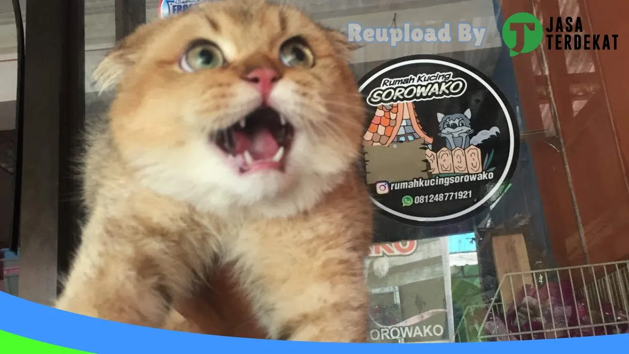 Gambar RUMAHKUCINGSOROWAKO di Luwu, Sulawesi Selatan ke 3