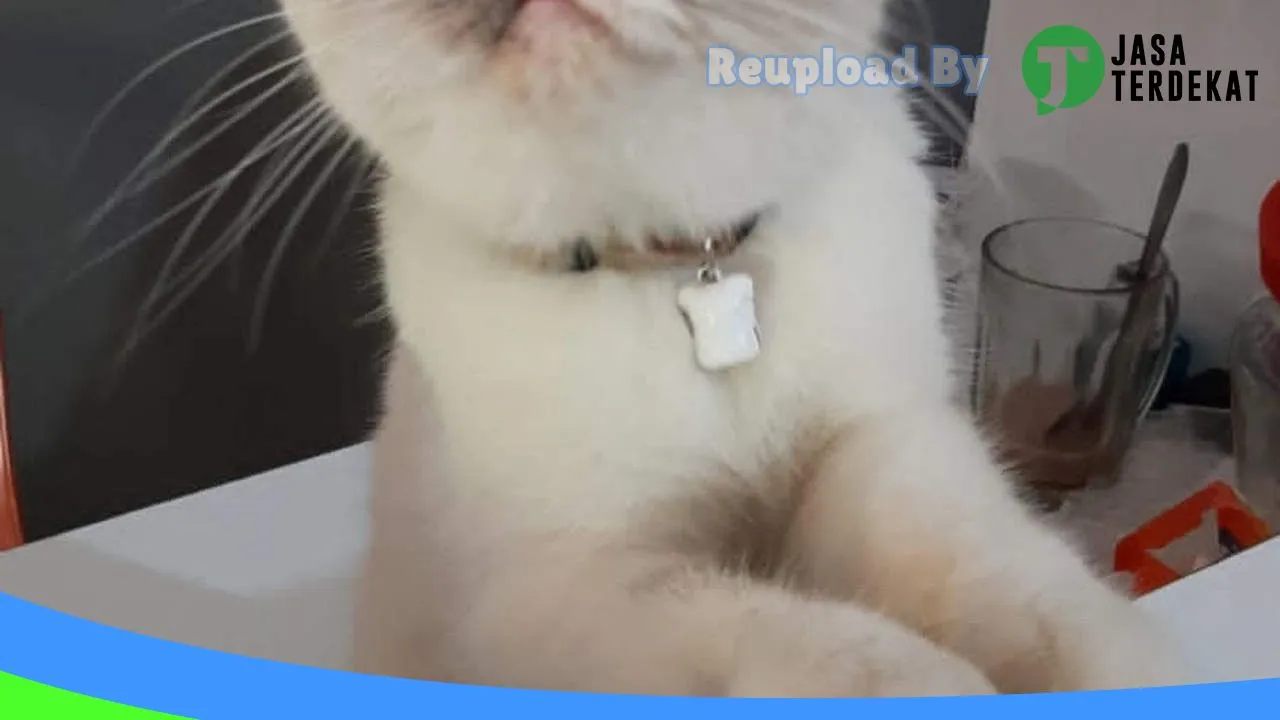 Gambar Anita Dokter Hewan & Petshop di Enrekang, Sulawesi Selatan ke 1