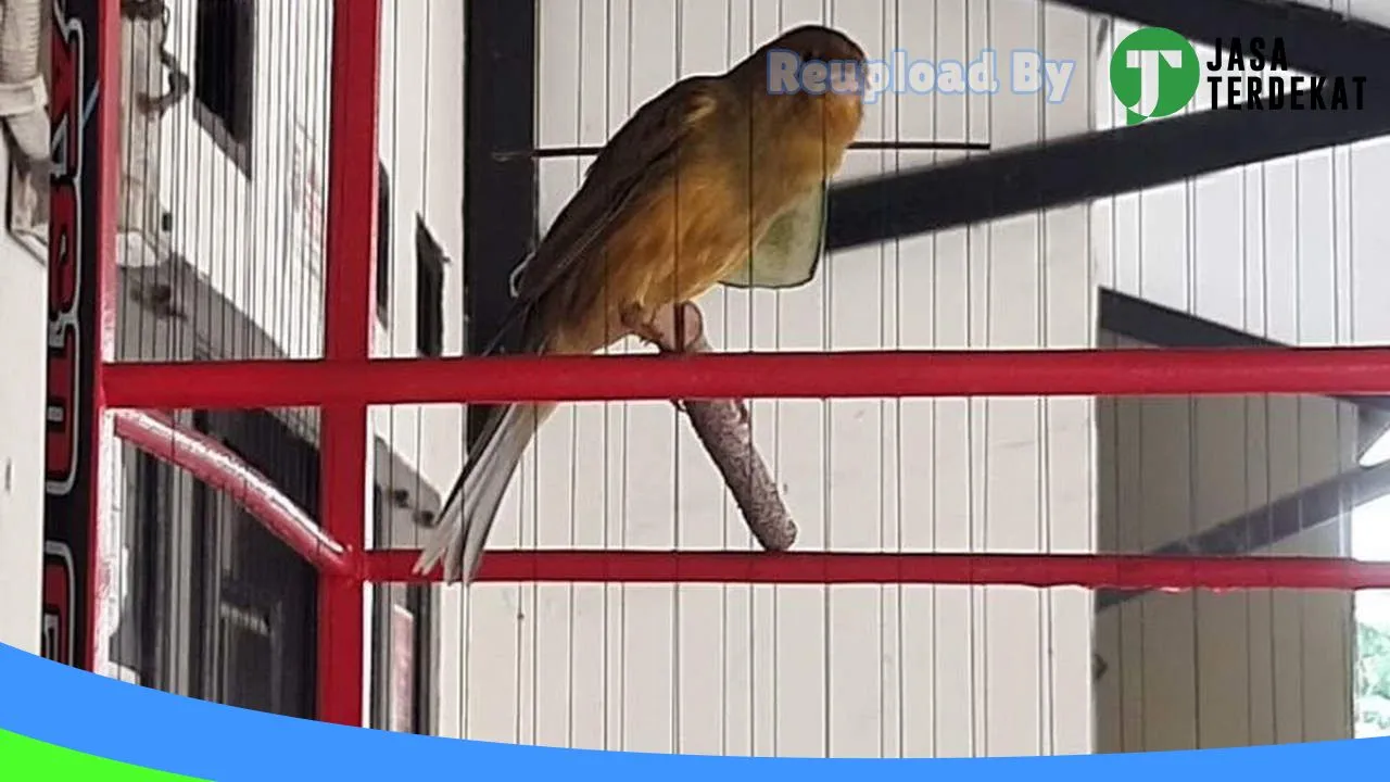 Gambar MCT (Markas Canary Tanggamus) di Tanggamus, Lampung ke 1