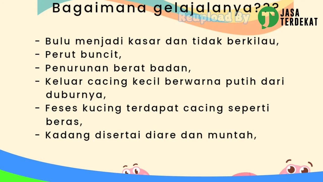 Gambar Kula Petshop di Bantul, DI Yogyakarta ke 3