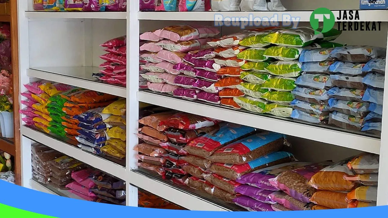 Gambar Bubble Pet Shop 2 di Probolinggo, Jawa Timur ke 1