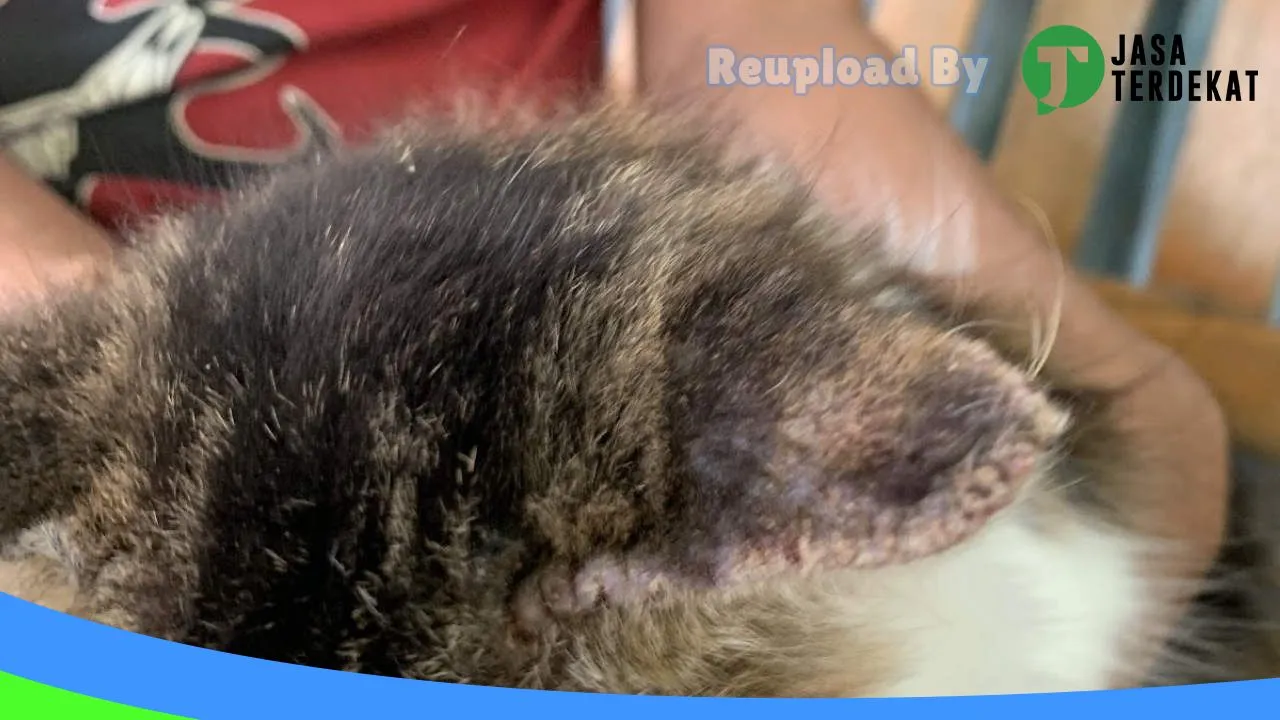 Gambar Along Petshop And Care Labuan Bajo di Manggarai, Nusa Tenggara Timur ke 2