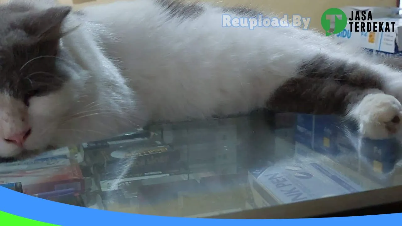 Gambar Cokky Pet Shop di Luwu Timur, Sulawesi Selatan ke 4