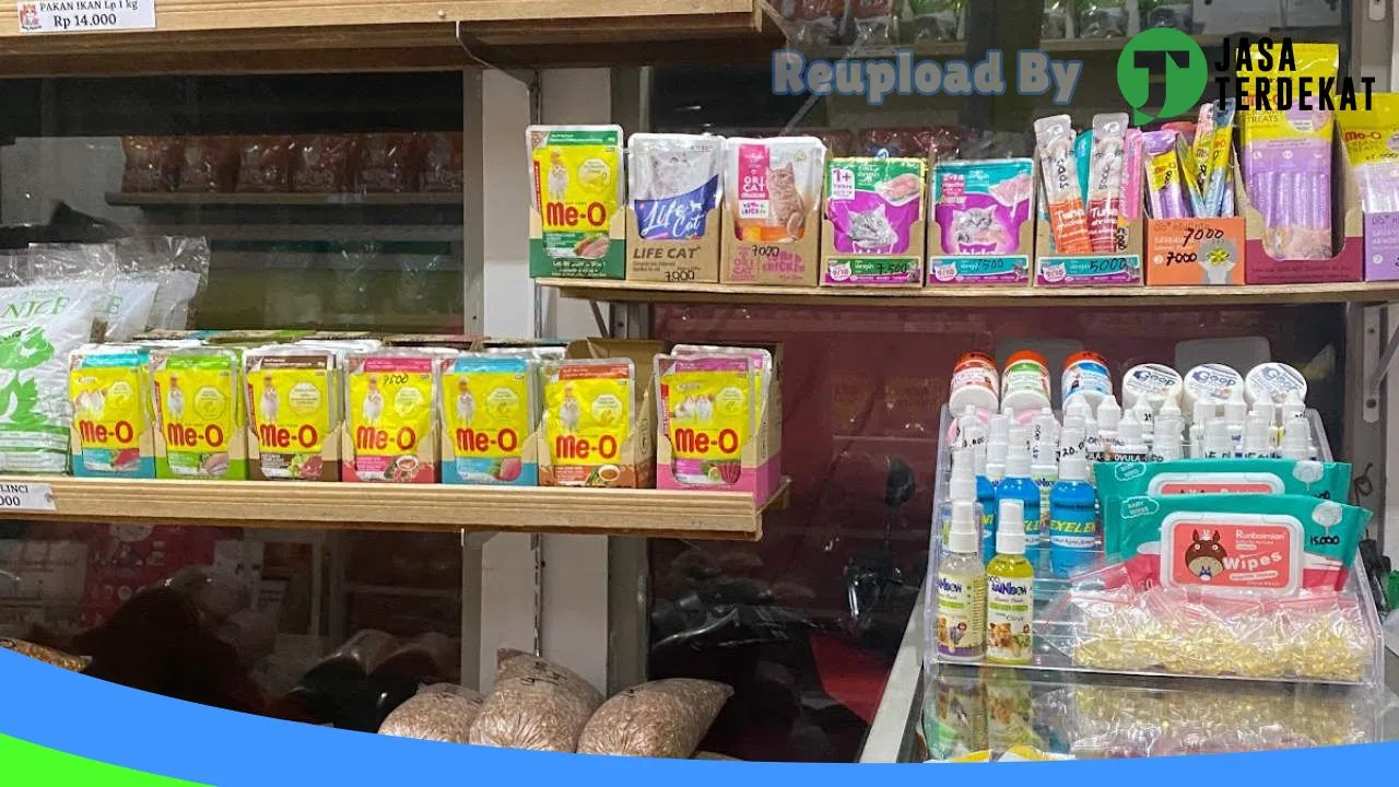 Gambar Owy pet shop di Hulu Sungai Selatan, Kalimantan Selatan ke 3