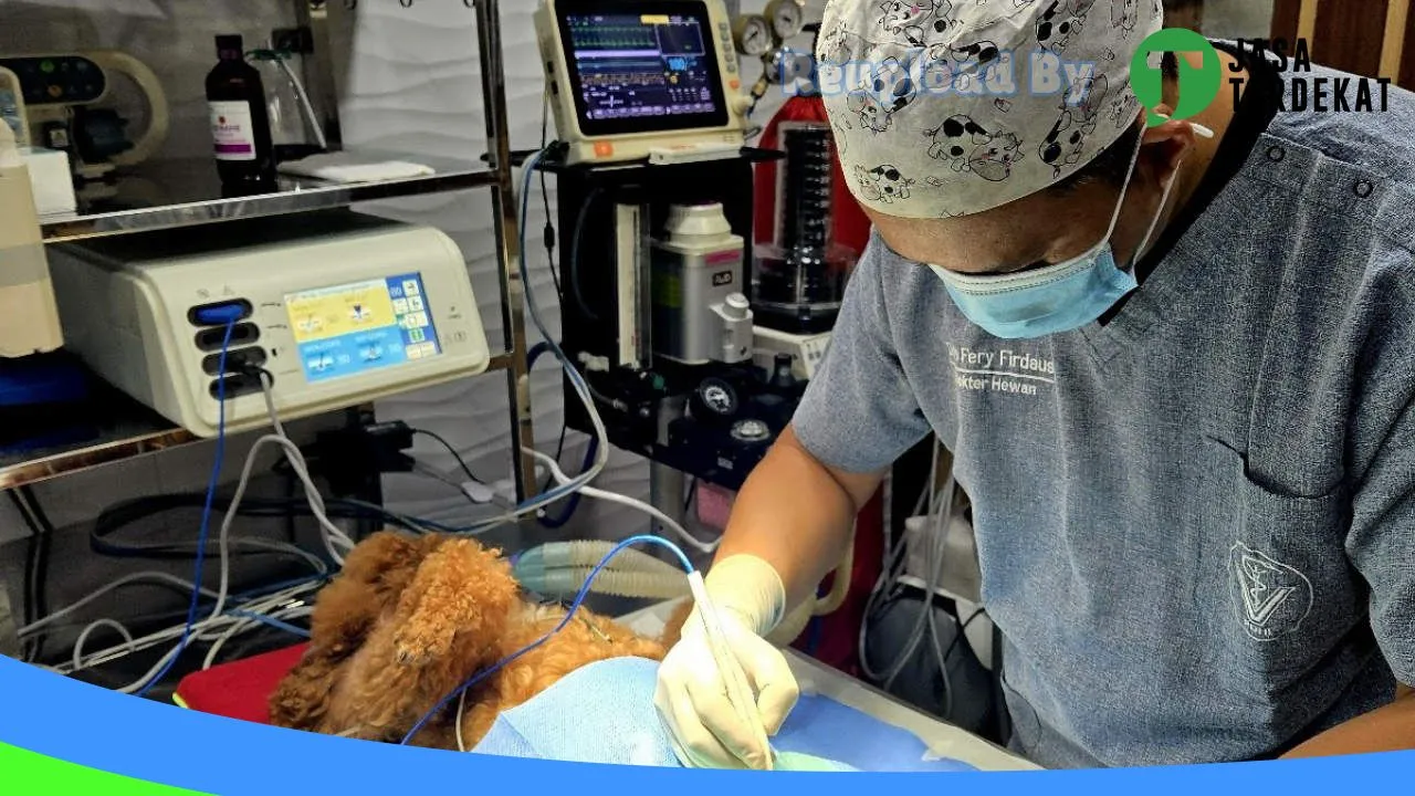 Gambar De’Chruse Pet Center Batam Centre di Batam, Kepulauan Riau ke 2