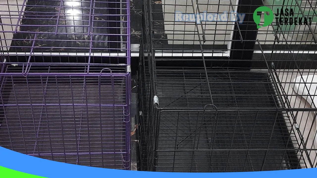 Gambar AA PETCARE PETSHOP & GROOMING, Dokter Hewan Yossy Yondhana di Jombang, Jawa Timur ke 4