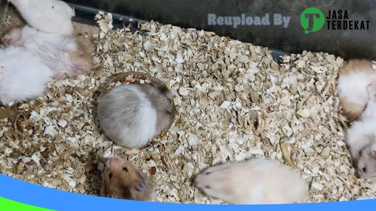 Gambar ADZKA HAMSTER JOMBANG di Jombang, Jawa Timur ke 4