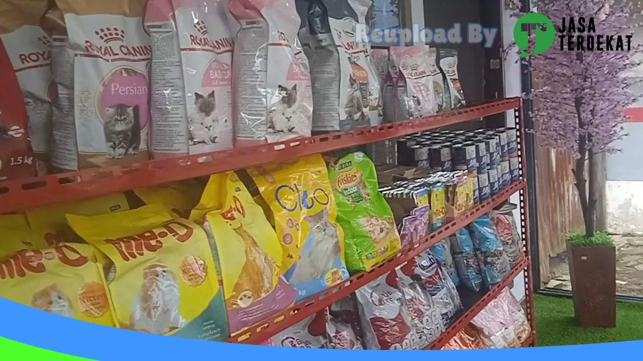 Gambar CLEO PETSHOP di Sukamara, Kalimantan Tengah ke 1
