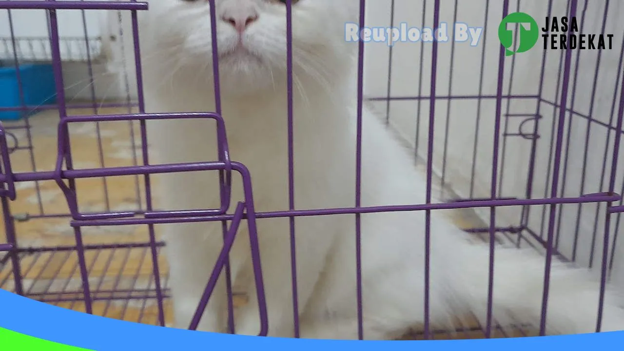 Gambar MS Petshop2 di Tebing Tinggi, Sumatera Utara ke 2