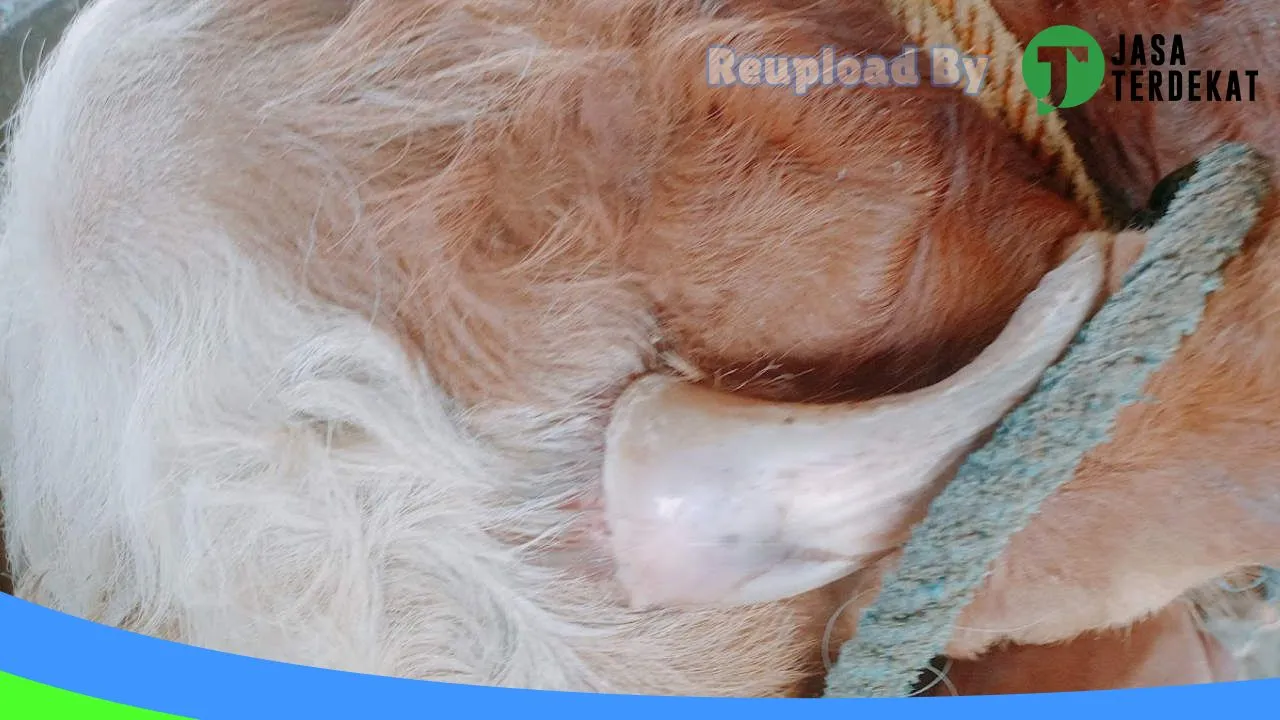 Gambar Hurera Petcare&Shop di Kota Madiun, Jawa Timur ke 2