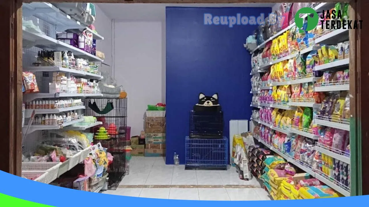 Gambar Mochy Petshop Betoambari di Buton, Sulawesi Tenggara ke 3