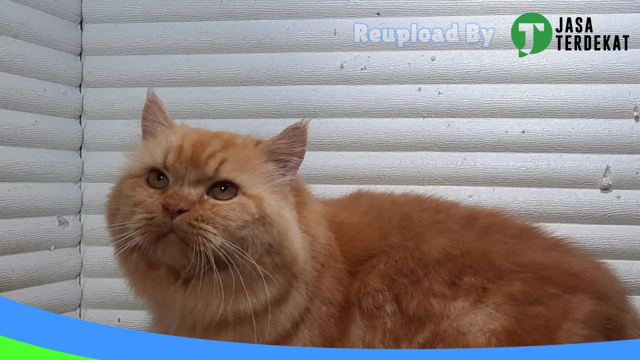 Gambar ZEE Petshop Nagung di Kulon Progo, DI Yogyakarta ke 3