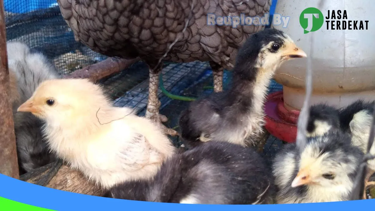 Gambar Pamintasan Farm di Padang Lawas Utara, Sumatera Utara ke 2